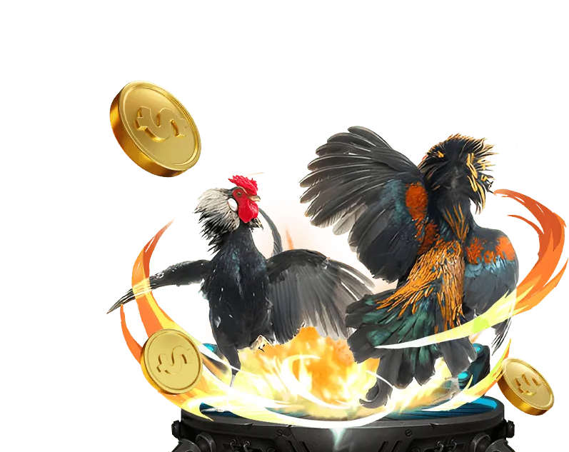 Lợi ích khi là thành viên VND88