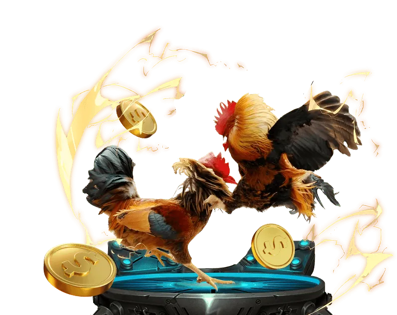 Ưu đãi thể thao VND88